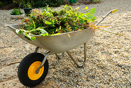 green garden waste