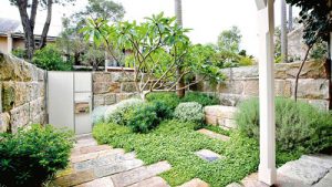 bookabin-front-garden-native-plants-australia