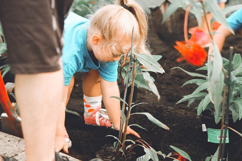 little girl gardening in soil