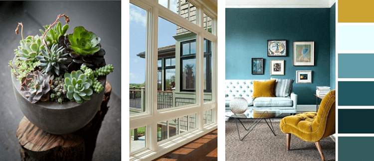 three images. Small cactus in a pot. White window frame. Lounge with blue walls and a gold chair.