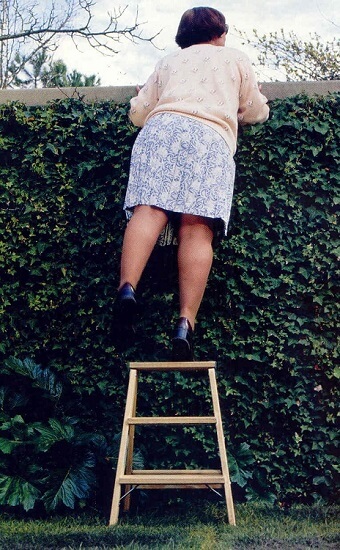 Woman standing on a step ladder and looking over a fence that is covered in ivy