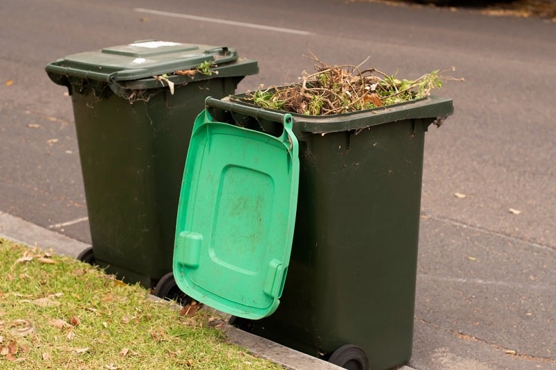 Green Bin filled with tree parts 