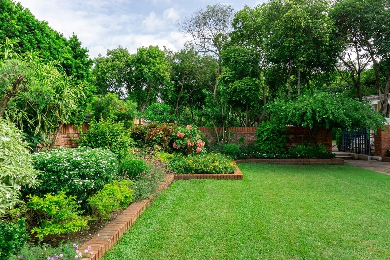 Lush green garden with well kept lawn